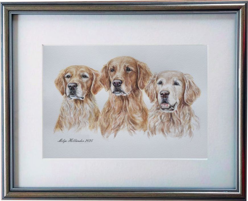 copyright milja holl&auml;nder