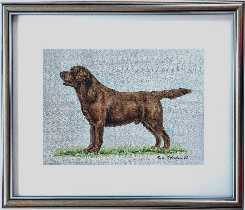 copyright milja holl&auml;nder