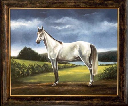 COPYRIGHT Milja Holländer