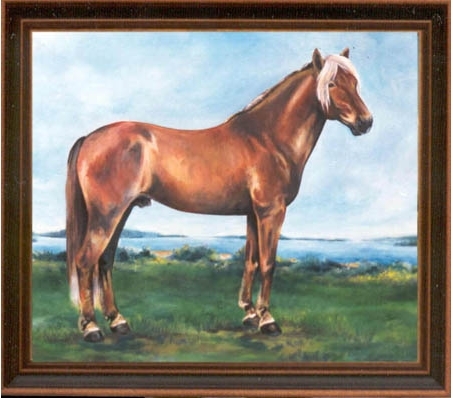 COPYRIGHT Milja Holländer